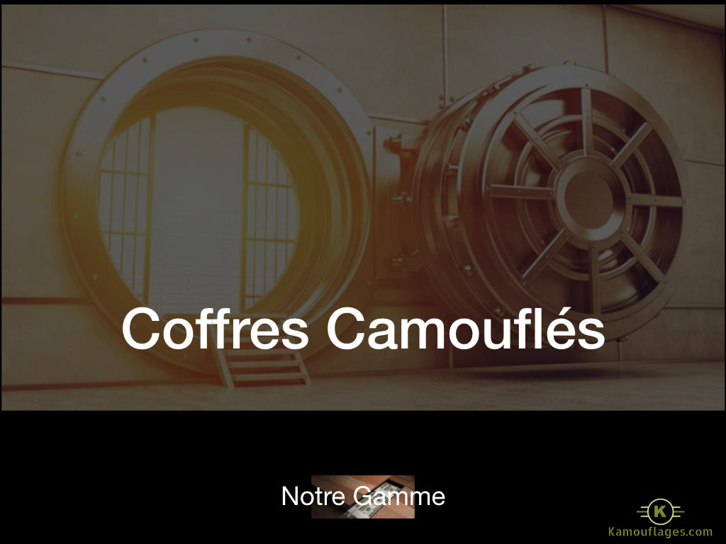 Guide des coffres camouflés