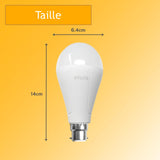 Ampoule d'urgence rechargeable