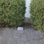 Hiding place - Garden stone - NEW MODEL